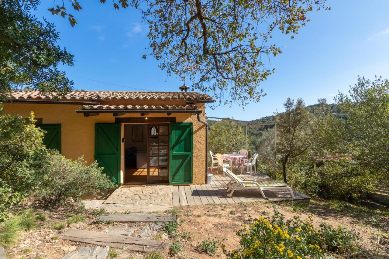 הוילה Casita En בגור מראה חיצוני תמונה